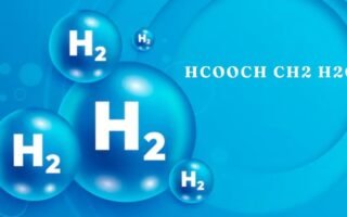 HCOOCH CH2 H2O