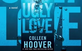 Ugly Love Summary