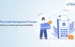 Credit Management Process
