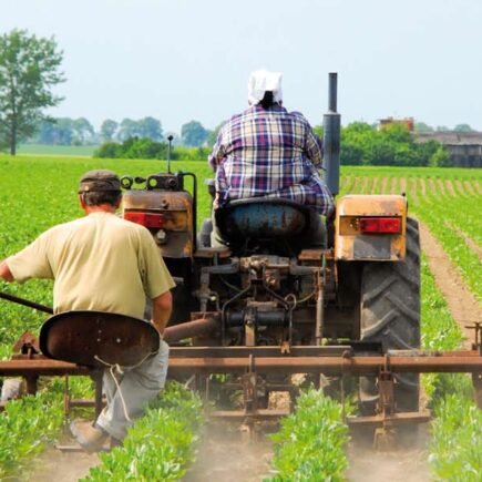 machinery maintenance