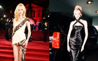 Alex Consani Net Worth