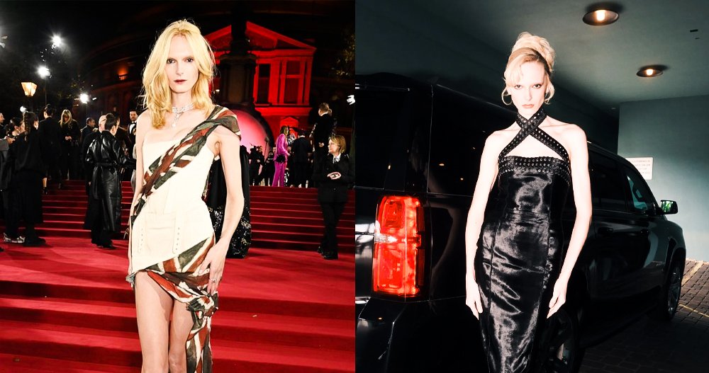 Alex Consani Net Worth