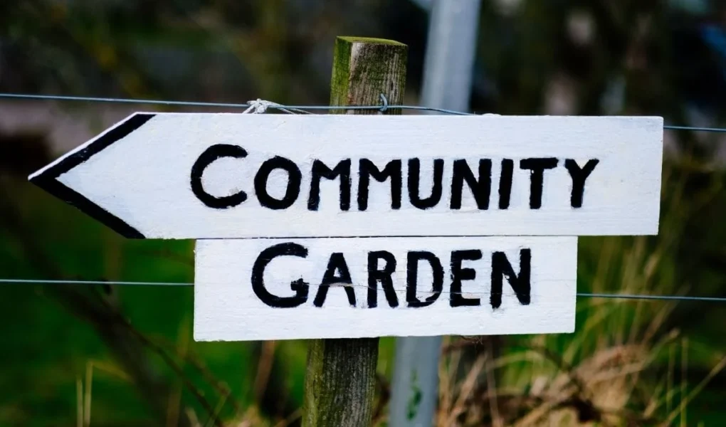 Vikki Nicolai La Crosse