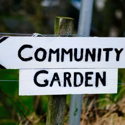 Vikki Nicolai La Crosse