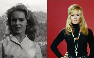 Joey Heatherton Net Worth