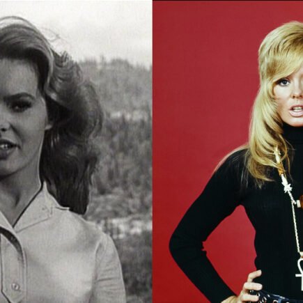 Joey Heatherton Net Worth