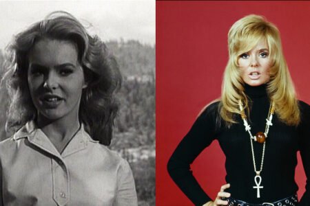 Joey Heatherton Net Worth