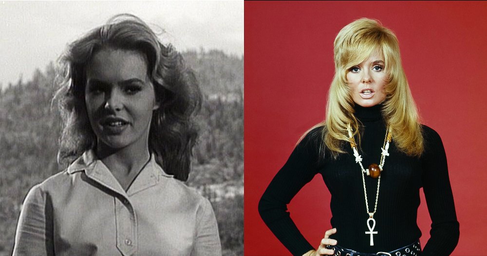 Joey Heatherton Net Worth