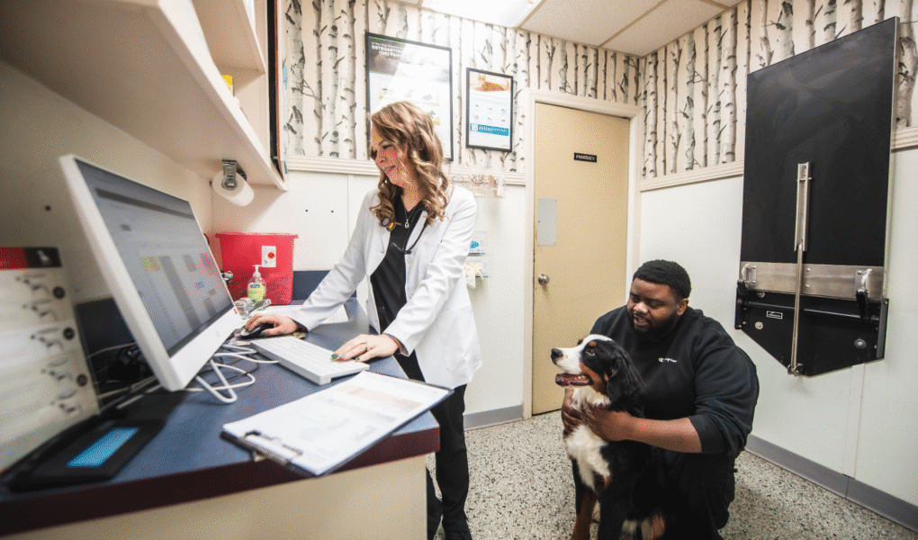 Veterinary Hospitals