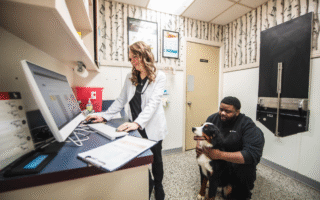 Veterinary Hospitals