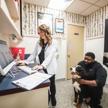 Veterinary Hospitals